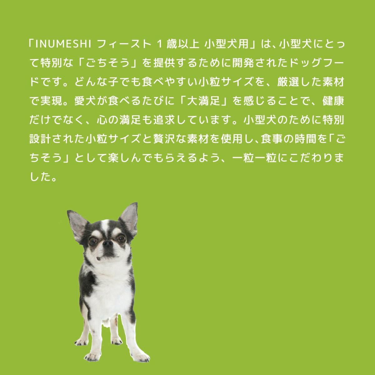 INUMESHI　フィースト　1歳以上　小型犬用　15kg　ブリーダーパック