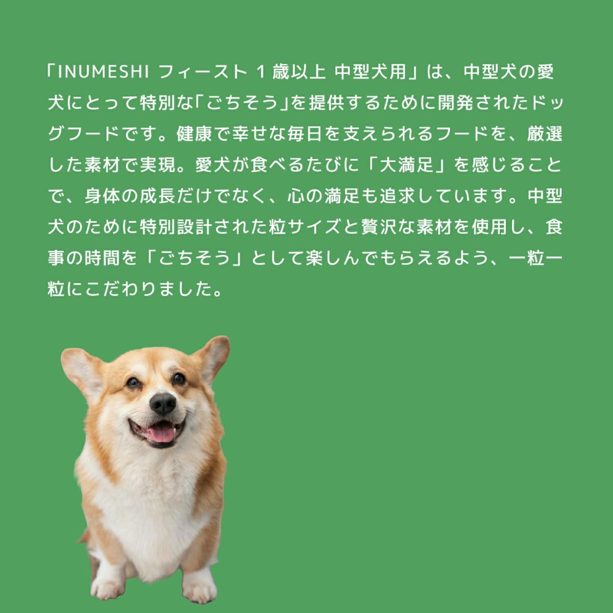 INUMESHI　フィースト　1歳以上　中型犬用　15kg　ブリーダーパック