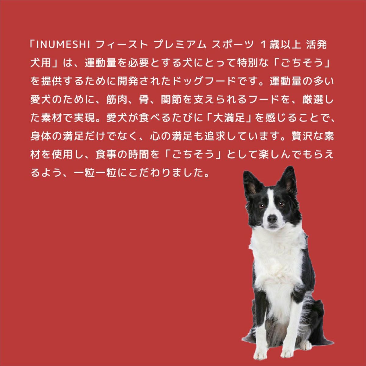 INUMESHI　フィースト　プレミアム　スポーツ　1歳以上　活発犬用　15kg　ブリーダーパック