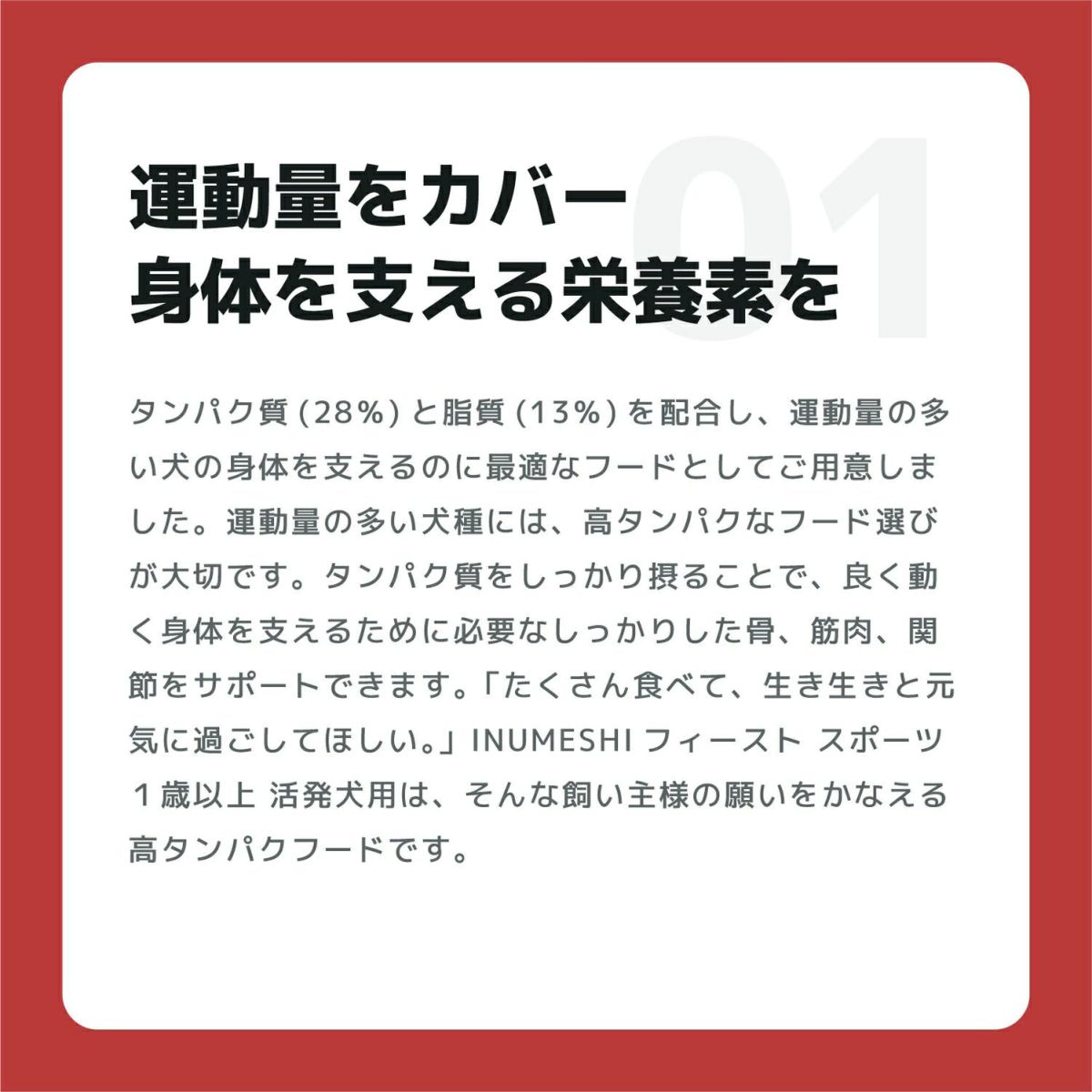 INUMESHI　フィースト　プレミアム　スポーツ　1歳以上　活発犬用　15kg　ブリーダーパック