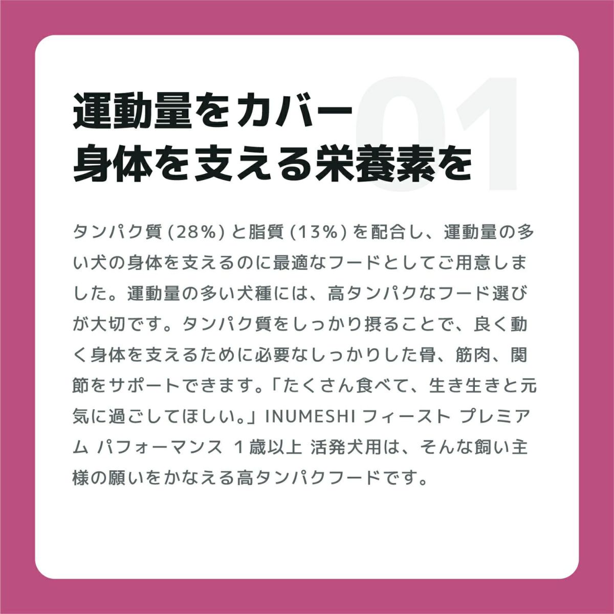 INUMESHI　フィースト　プレミアム　パフォーマンス　1歳以上　活発犬用　15kg　ブリーダーパック