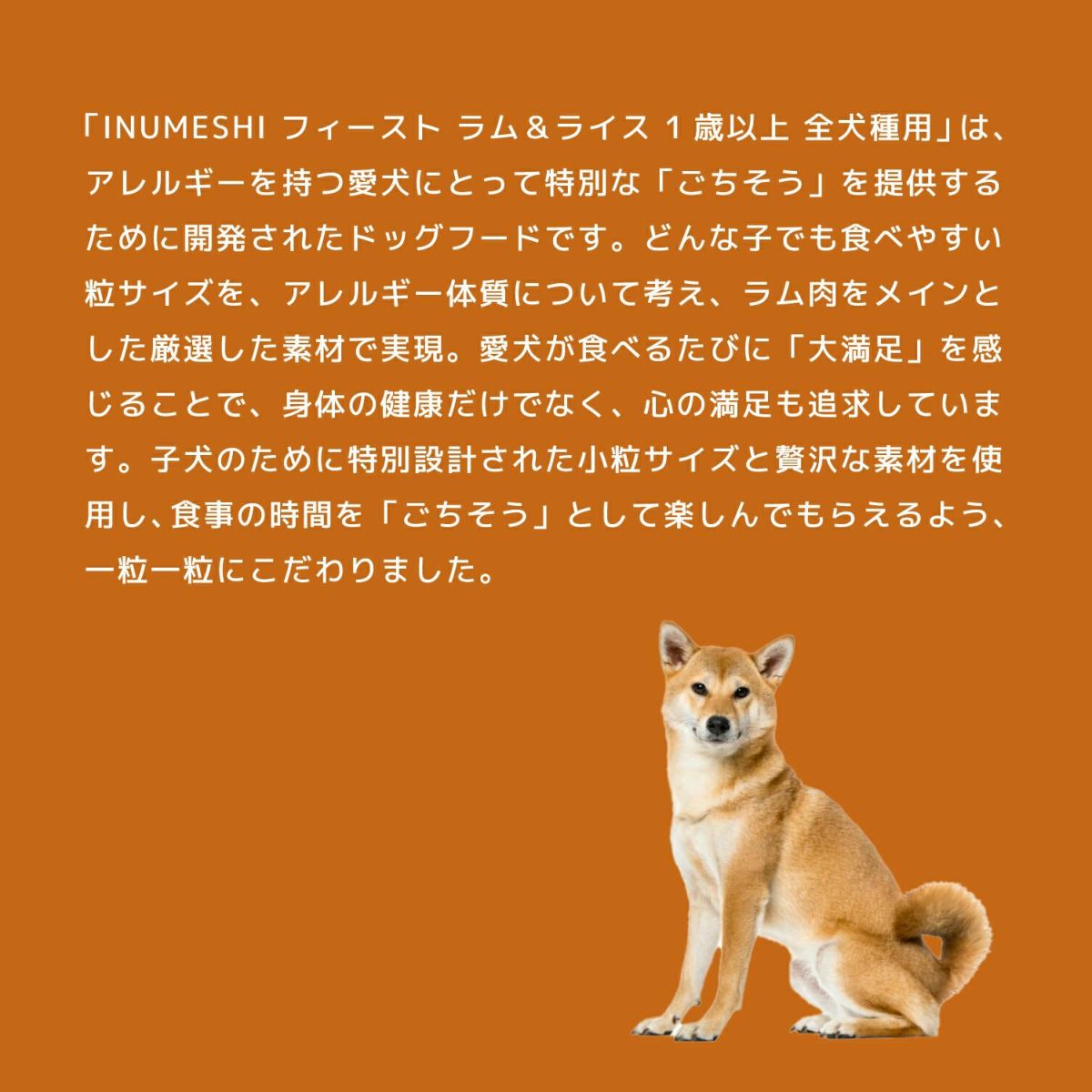INUMESHI　フィースト　ラム&ライス　1歳以上　全犬種用　15kg　ブリーダーパック