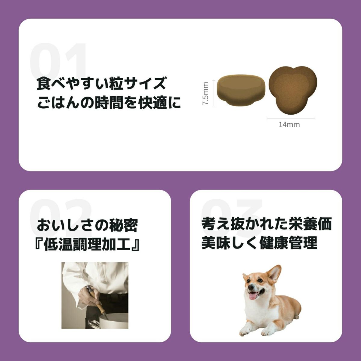 INUMESHI　フィースト　シニア用　全犬種用　7歳以上　15kg　ブリーダーパック