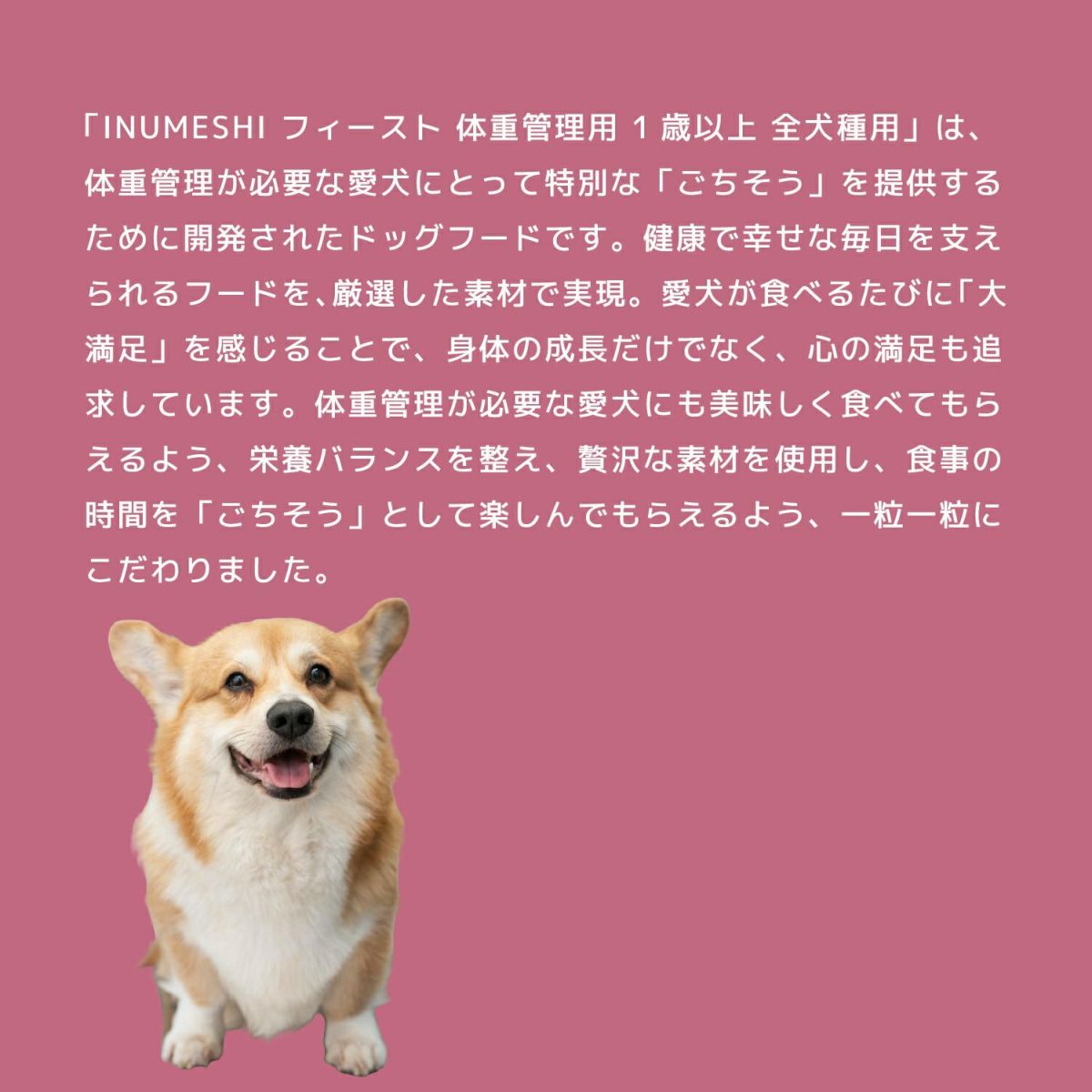  INUMESHI　フィースト　成犬用　体重管理　全犬種用　1歳以上　15kg　ブリーダーパック