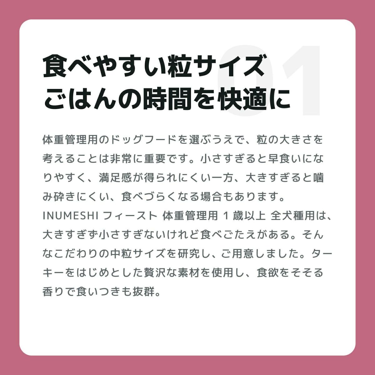  INUMESHI　フィースト　成犬用　体重管理　全犬種用　1歳以上　15kg　ブリーダーパック