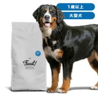 INUMESHI　フィースト　1歳以上　大型犬用　15kg　ブリーダーパック