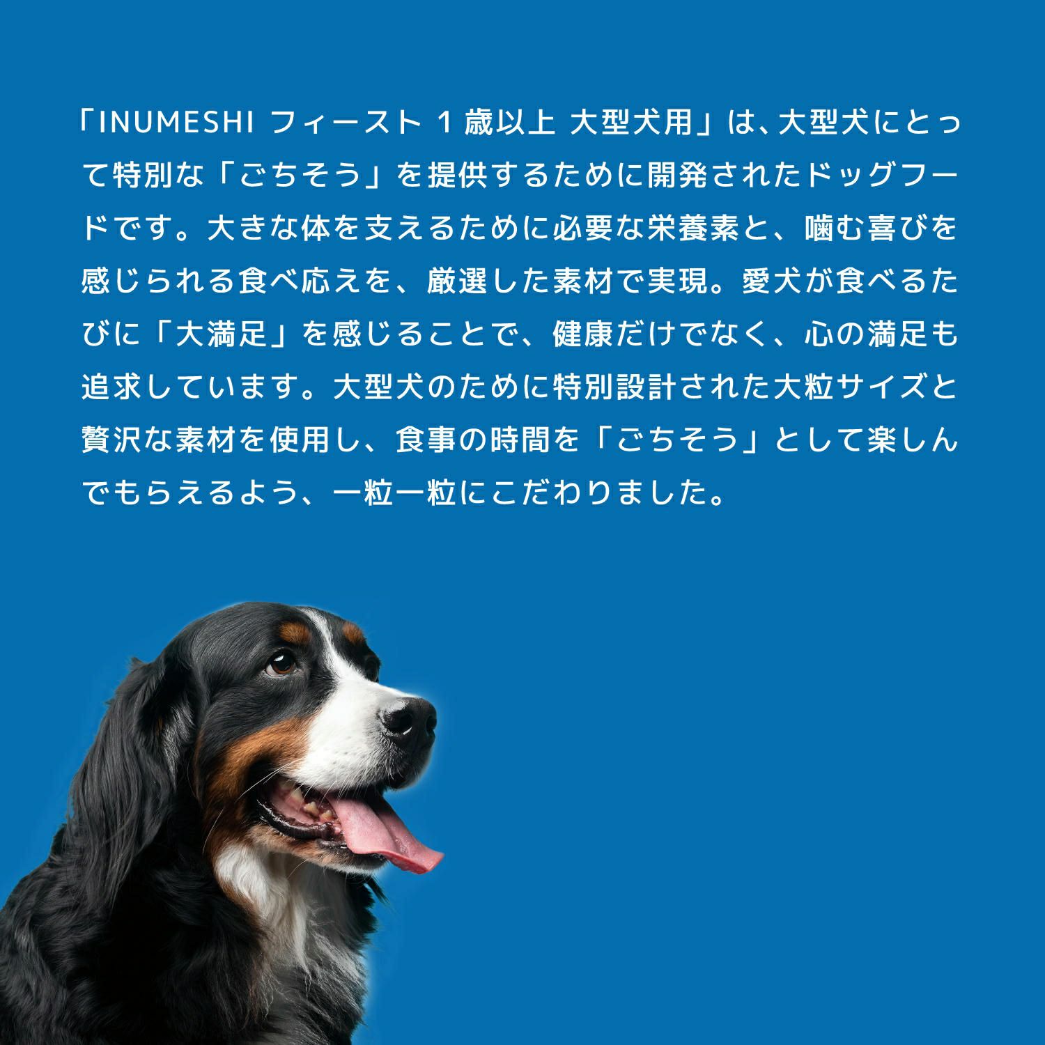 ブリーダーパック INUMESHI公式オンラインストア