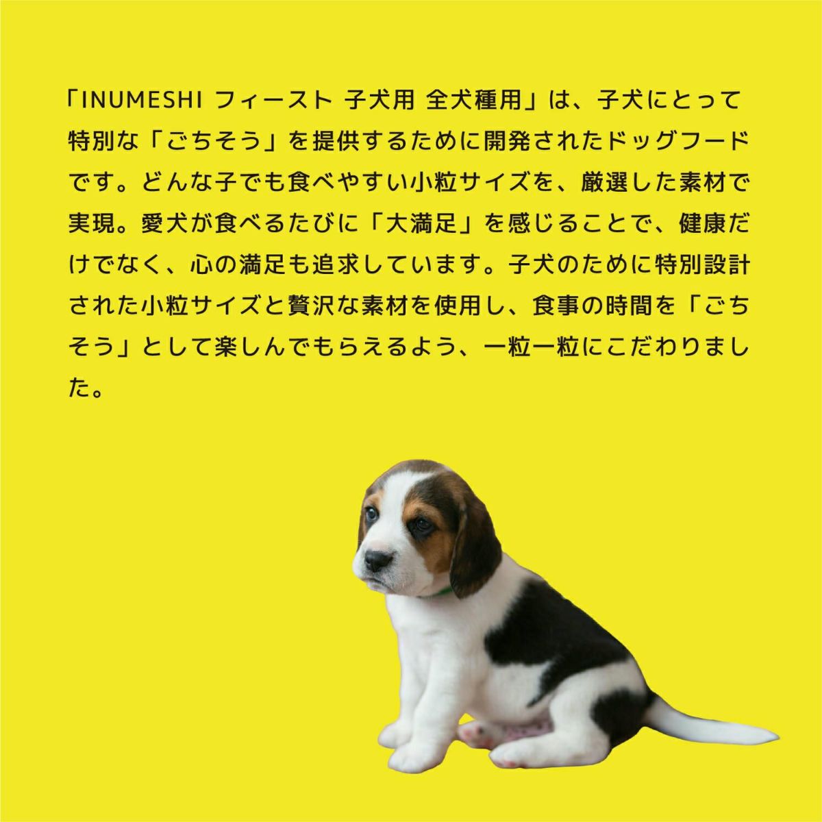 INUMESHI　フィースト　子犬用　全犬種用　1kg
