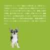  INUMESHI　フィースト　1歳以上　小型犬用　1kg