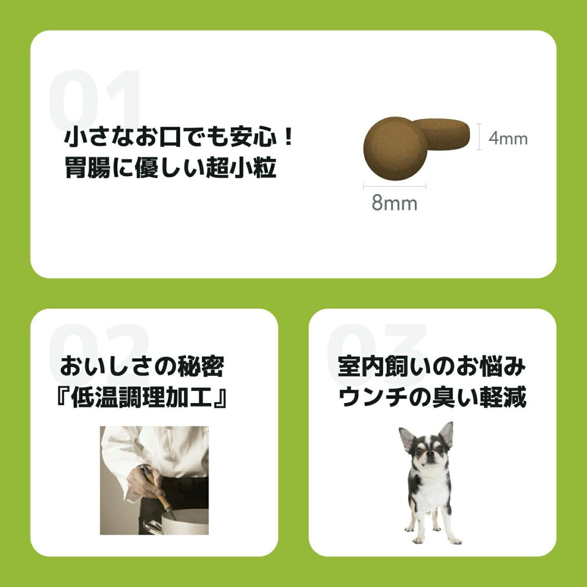  INUMESHI　フィースト　1歳以上　小型犬用　1kg