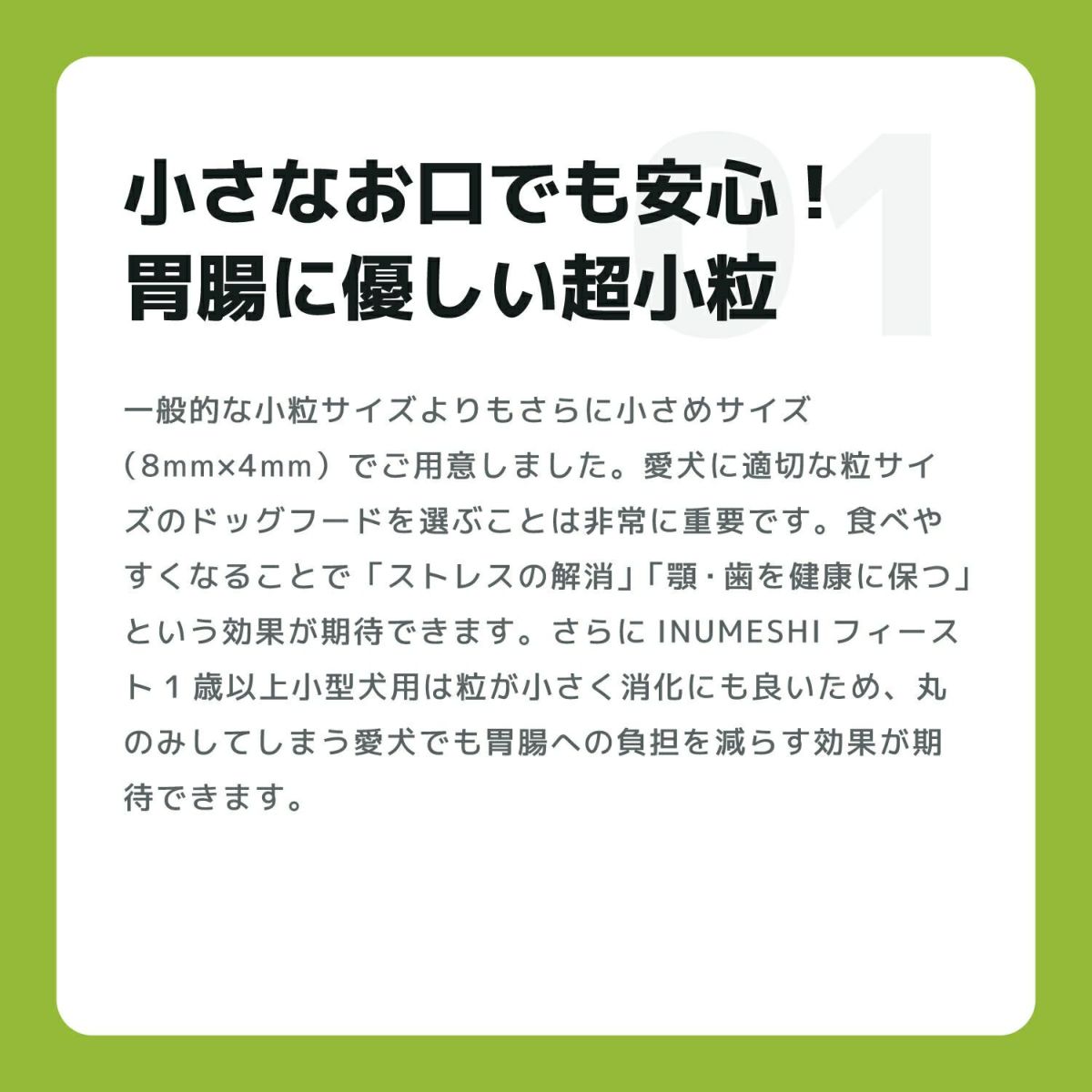 INUMESHI　フィースト　1歳以上　小型犬用　1kg