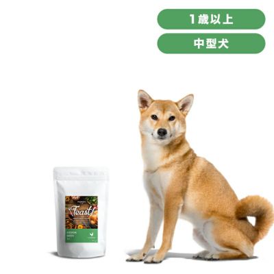 INUMESHI　フィースト　1歳以上　中型犬用　1kg
