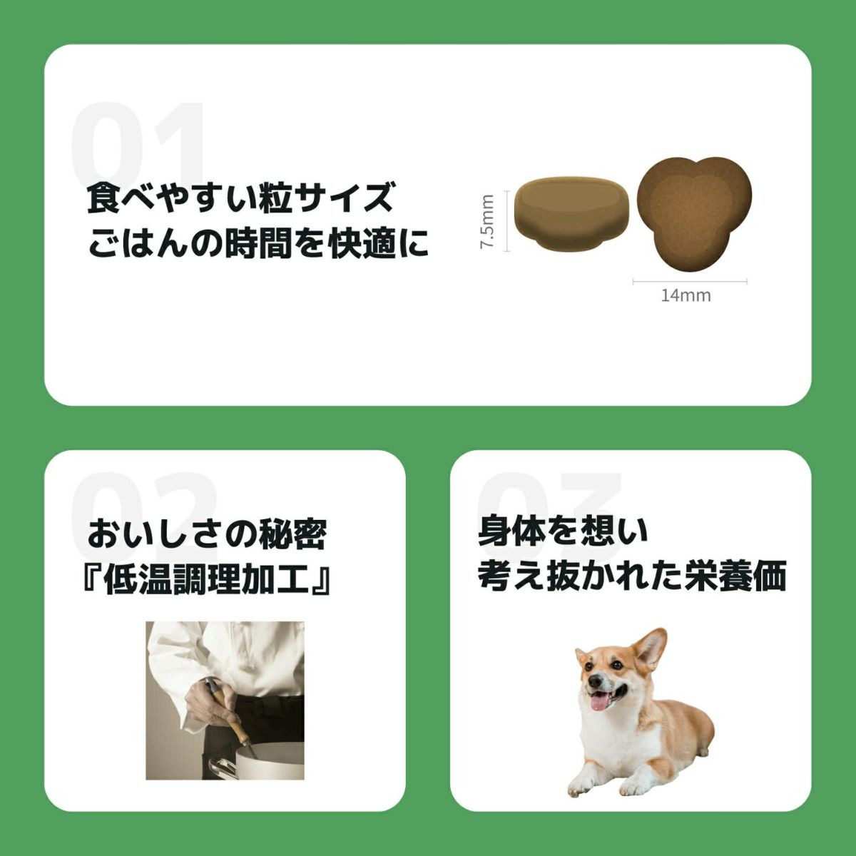 INUMESHI　フィースト　1歳以上　中型犬用　1kg