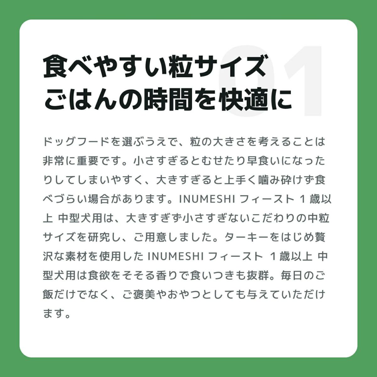 INUMESHI　フィースト　1歳以上　中型犬用　1kg