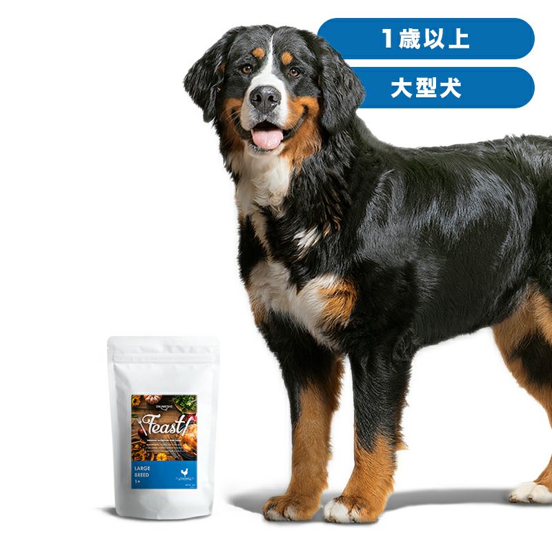 INUMESHI フィースト 1歳以上 大型犬用 15kg ブリーダーパック 本物