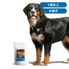 INUMESHI　フィースト　1歳以上　大型犬用　1kg