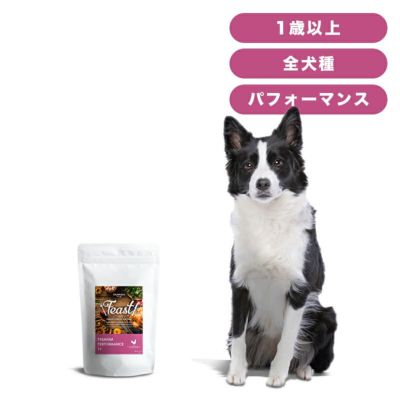 INUMESHI　フィースト　プレミアム　パフォーマンス　1歳以上　活発犬用　1kg