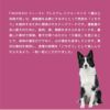 INUMESHI　フィースト　プレミアム　パフォーマンス　1歳以上　活発犬用　1kg