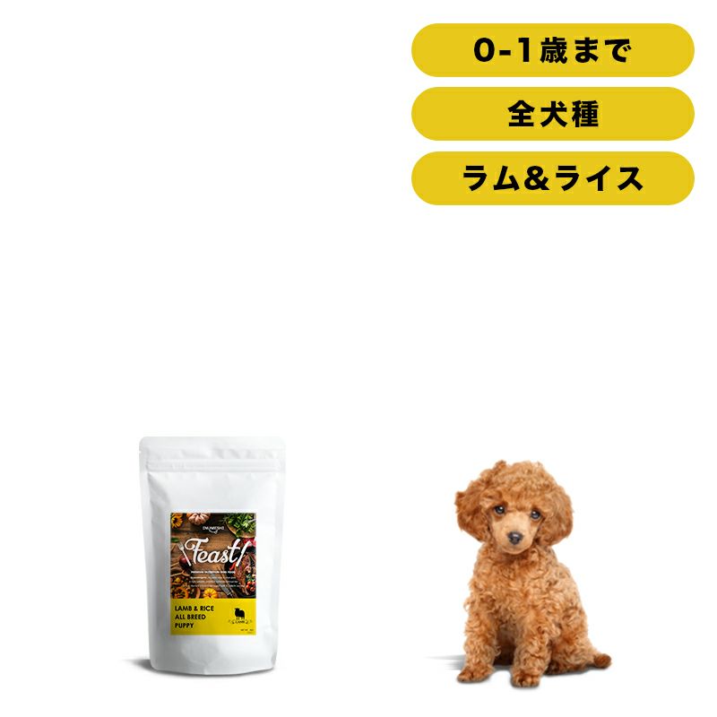 INUMESHI　フィースト　ラム&ライス　子犬用　全犬種用　1kg