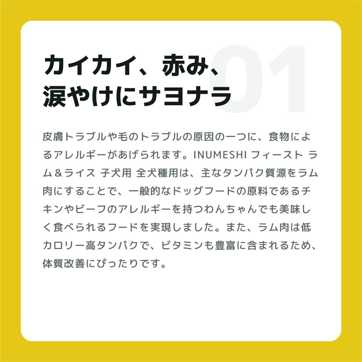 INUMESHI　フィースト　ラム&ライス　子犬用　全犬種用　1kg