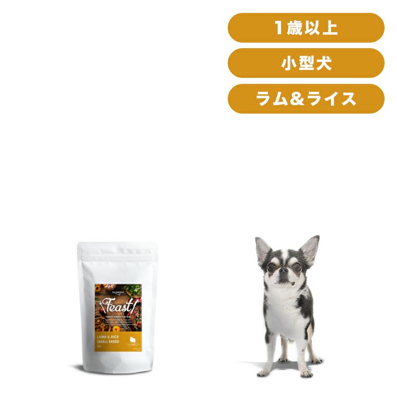 INUMESHI　フィースト　ラム&ライス　1歳以上　小型犬用　1kg