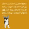 INUMESHI　フィースト　ラム&ライス　1歳以上　小型犬用　1kg