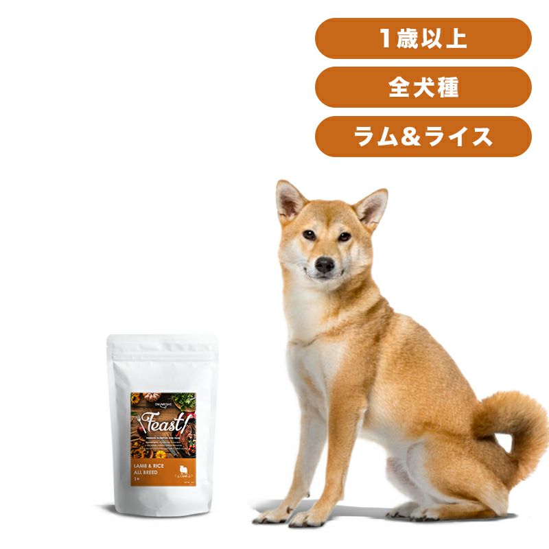 INUMESHI　フィースト　ラム&ライス　1歳以上　全犬種用　1kg