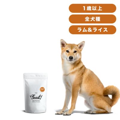 INUMESHI　フィースト　ラム&ライス　1歳以上　全犬種用　1kg