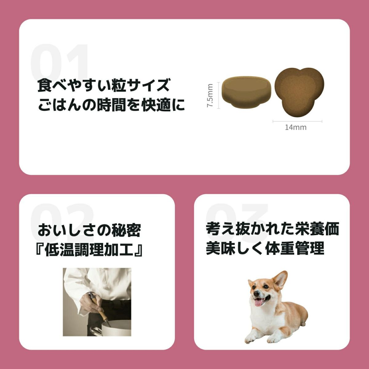 INUMESHI　フィースト　体重管理用　1歳以上　全犬種用　1kg