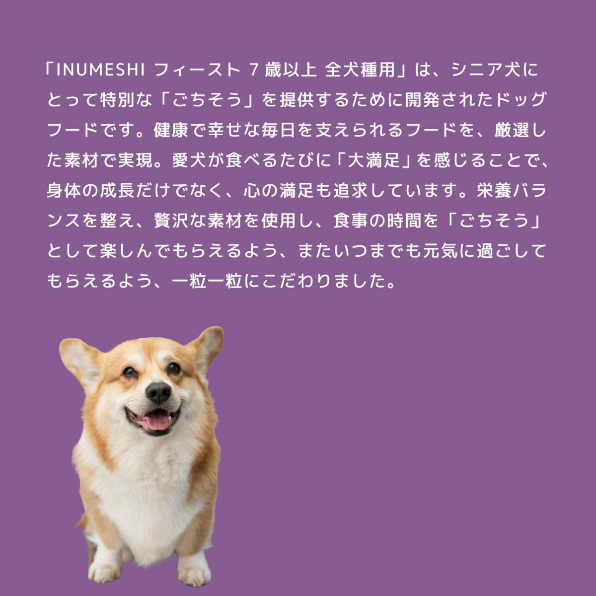  INUMESHI　フィースト　7歳以上　全犬種用　1kg