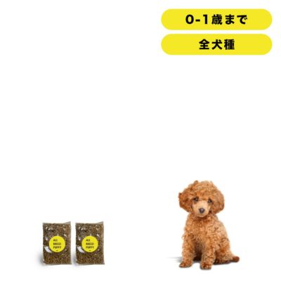 INUMESHI　フィースト　子犬用　全犬種用　200g（100g×2袋）　おためしパック