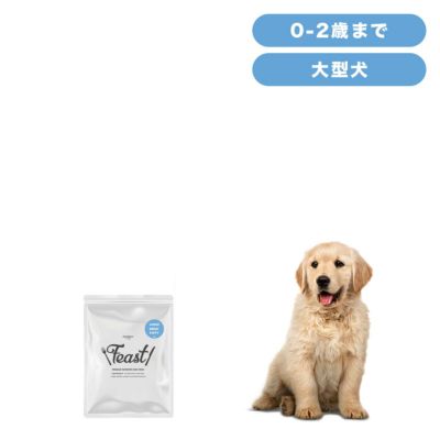 INUMESHI フィースト 子犬用 大型犬用 200g(100g×2袋) おためしパック