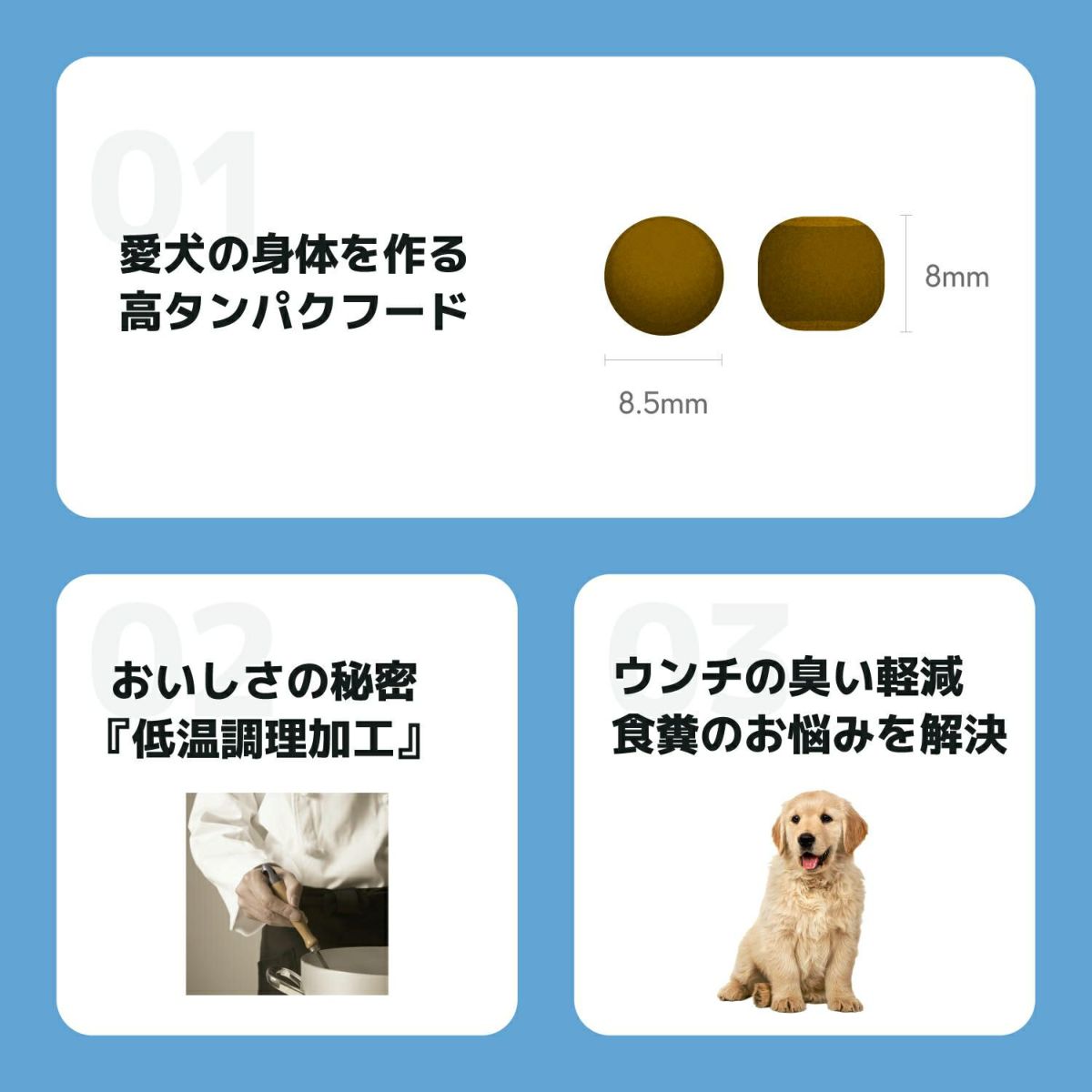 INUMESHI　フィースト　子犬用　大型犬用　200g（100g×2袋）　おためしパック