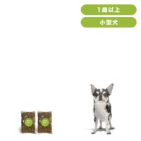 INUMESHI　フィースト　1歳以上　小型犬用　200g（100g×2袋）　おためしパック