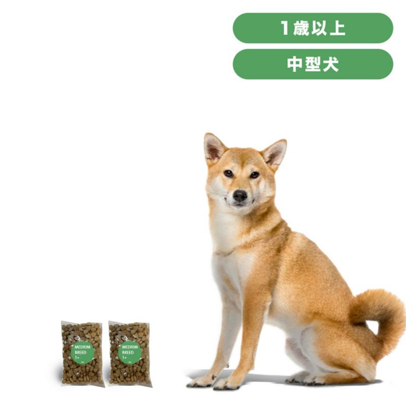 INUMESHI　フィースト　1歳以上　中型犬用　200g（100g×2袋）　おためしパック