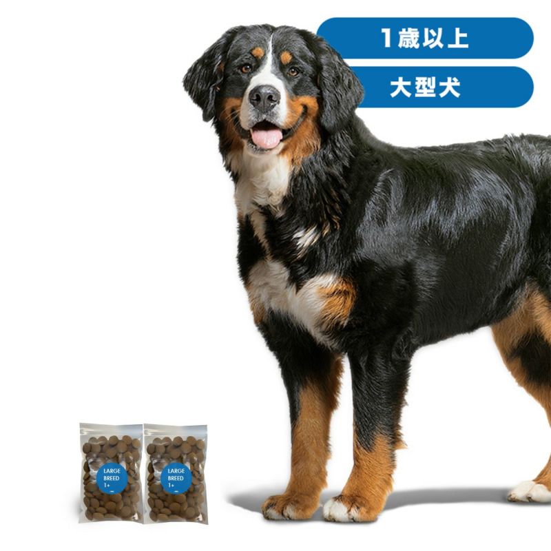 INUMESHI　フィースト　1歳以上　大型犬用　200g（100g×2袋）　おためしパック