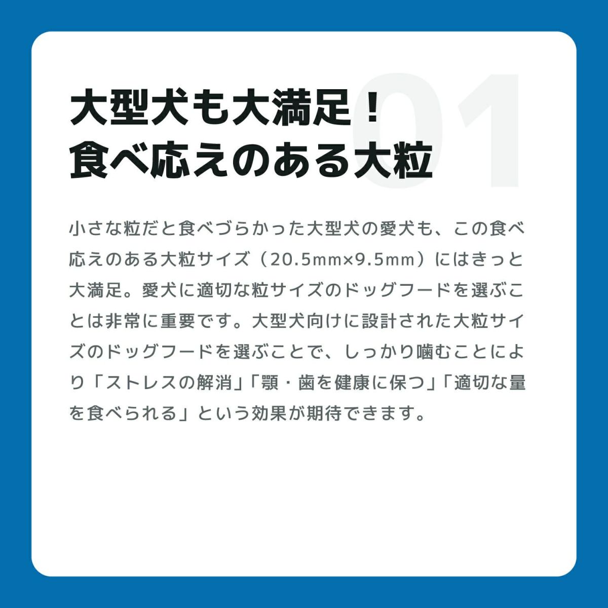 INUMESHI　フィースト　1歳以上　大型犬用　200g（100g×2袋）　おためしパック