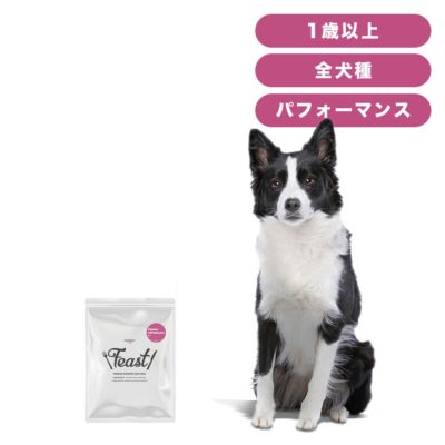 INUMESHI フィースト ドックフード(成犬・高齢犬用 ) 15kg 楽天市場