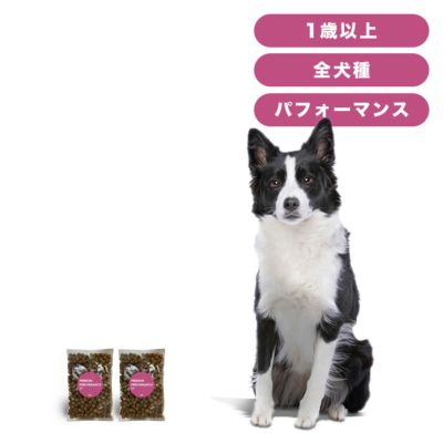 INUMESHI　フィースト　プレミアム　パフォーマンス　1歳以上　活発犬用　200g（100g×2袋）　おためしパック