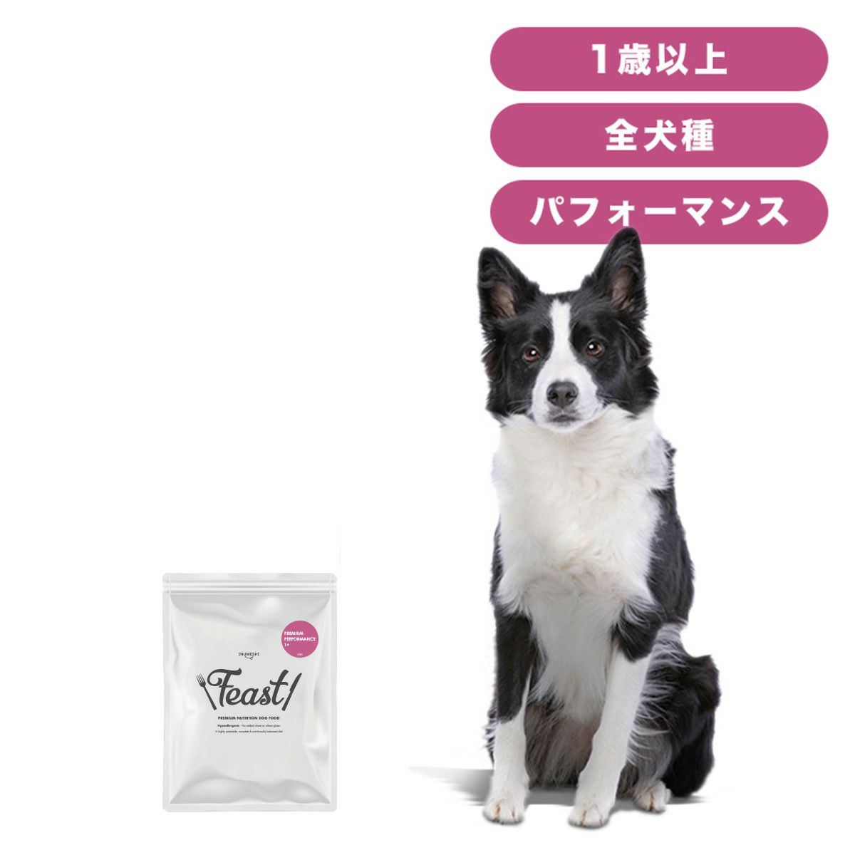 INUMESHI　フィースト　プレミアム　パフォーマンス　1歳以上　活発犬用　200g（100g×2袋）　おためしパック