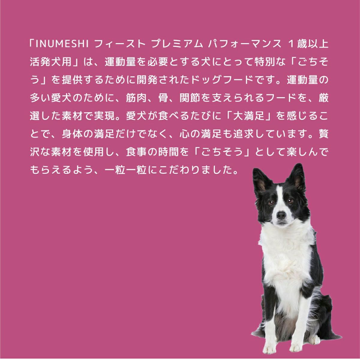 INUMESHI　フィースト　プレミアム　パフォーマンス　1歳以上　活発犬用　200g（100g×2袋）　おためしパック