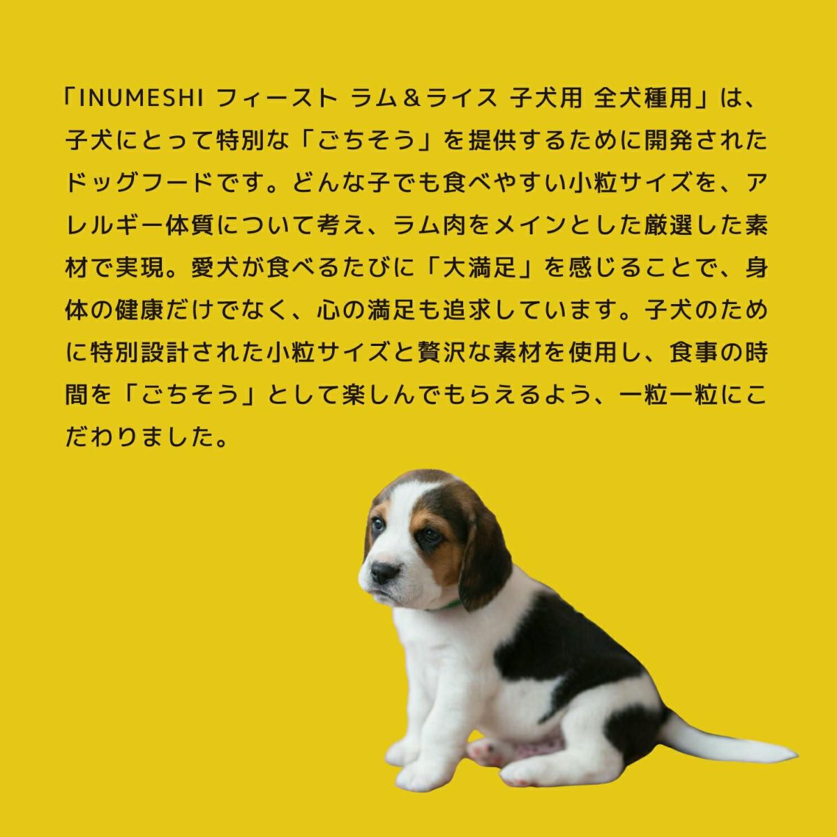 INUMESHI　フィースト　ラム&ライス　子犬用　全犬種用　200g（100g×2袋）　おためしパック