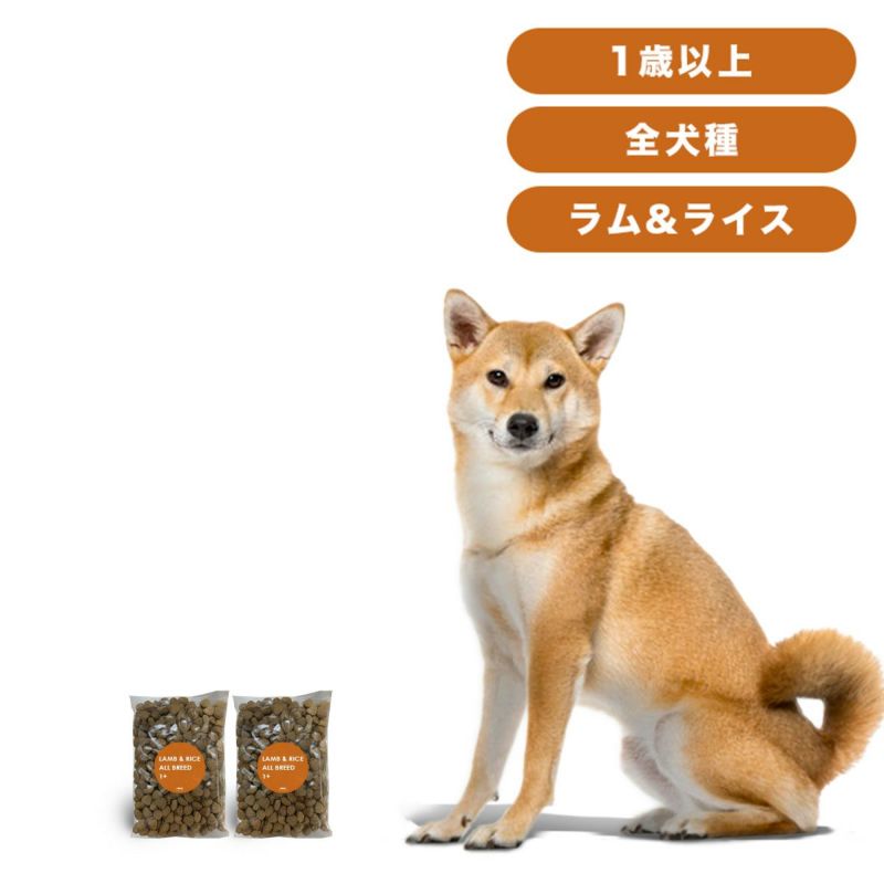 INUMESHI　フィースト　ラム&ライス　1歳以上　全犬種用　200g（100g×2袋）　おためしパック