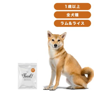 INUMESHI　フィースト　ラム&ライス　1歳以上　全犬種用　200g（100g×2袋）　おためしパック