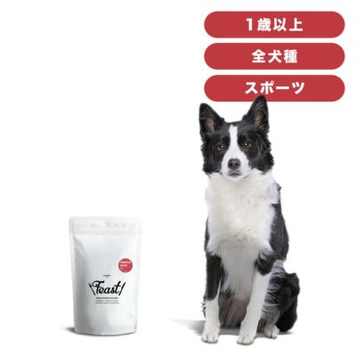 INUMESHI　フィースト　プレミアム　スポーツ　1歳以上　活発犬用　1kg