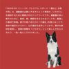 INUMESHI　フィースト　プレミアム　スポーツ　1歳以上　活発犬用　1kg
