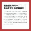 INUMESHI　フィースト　プレミアム　スポーツ　1歳以上　活発犬用　1kg