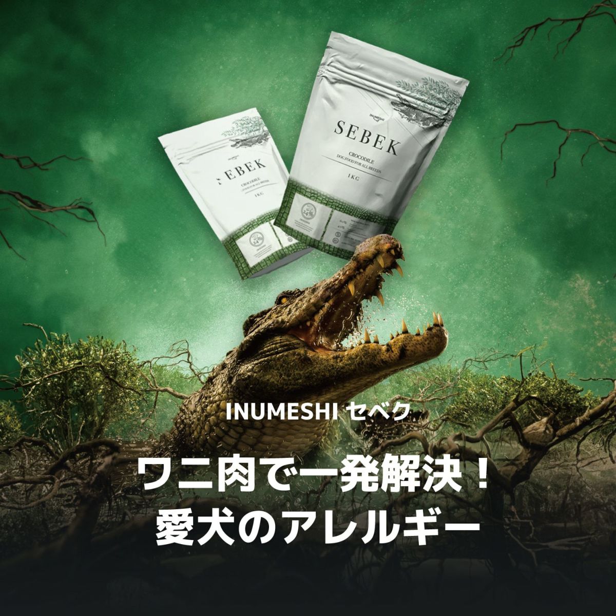 INUMESHI　SEBEK（セベク） ワニ肉ドッグフード　100g