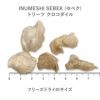 INUMESHI SEBEK（セベク）　トリーツ　クロコダイル　フリーズドライ　20g