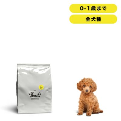 INUMESHI　フィースト　子犬用　全犬種用　5kg